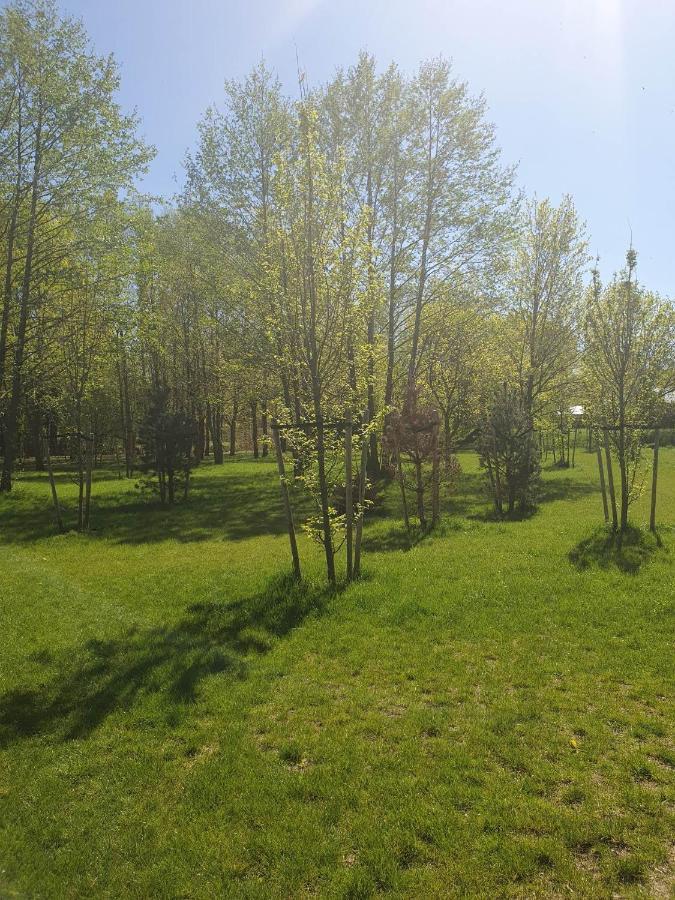 Apartament 3 Pokojowy Lub Pokoj W Mieszkaniu W Nowym Bloku Varšava Exteriér fotografie